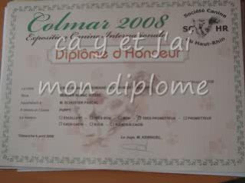 EXPO DE COLMAR