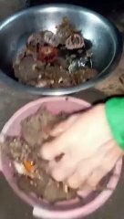 Dami Naming NaKuha Saang