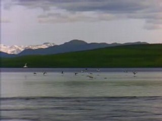 éssai ne pas regarder