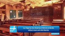 Au Nigeria, les dizaines d'élèves enlevés début mars ont été libérés