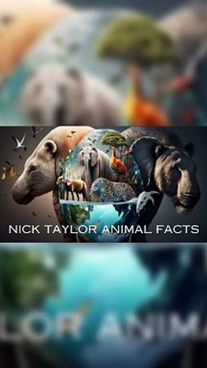 Facts About Beagle