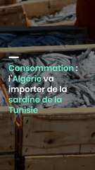 Consommation : l’Algérie va importer de la sardine de la Tunisie