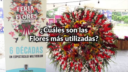 01-08-17-silleteros-de-santa-helena-elaboran-sus-creaciones-en-ciudad-del-rio
