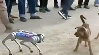 Artificial Dog | Robot Dog