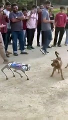Artificial Dog | Robot Dog