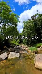 Surah Baqrah verse 269