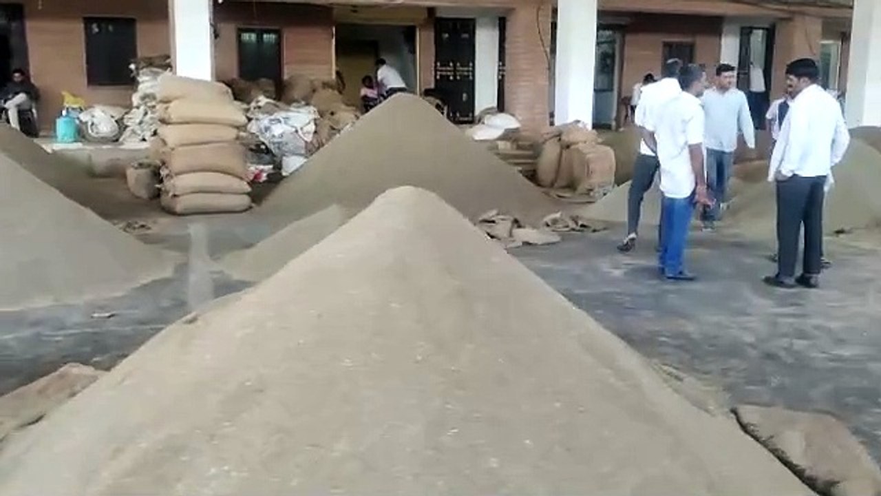 बम्पर पैदावर का अनुमान: जिले में 6 लाख हैक्टेयर में खड़ी फसलों से किसानों के खलिहानों में आएंगे 7 हजार करोड़