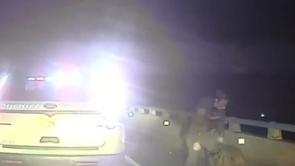 Watch: Police deputy saves dog that jumped off 75-foot bridge