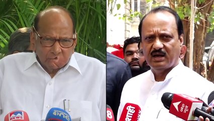 एकाच वेळी ९ पुतण्यांचं काकांविरोधात बंड; शहाजी बापूंसमोर 'तुतारी' वाजवणार?