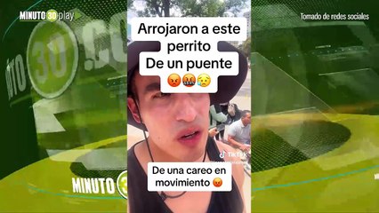 Aberrante perrito fue lanzado desde puente vehicular en Bogotá