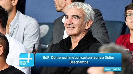 EdF ‍: Domenech met un carton jaune à Didier Deschamps