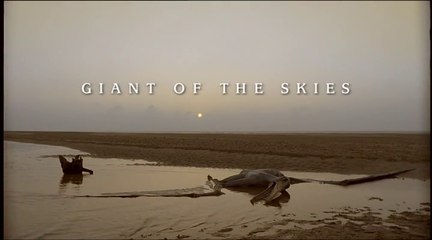 1999 Walking With Dinosaurs - Ep 4 Giant of the Skies