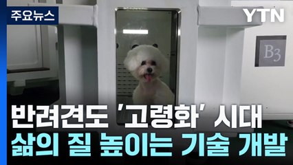반려견도 '고령화' 시대...삶의 질 높이는 기술 개발 / YTN