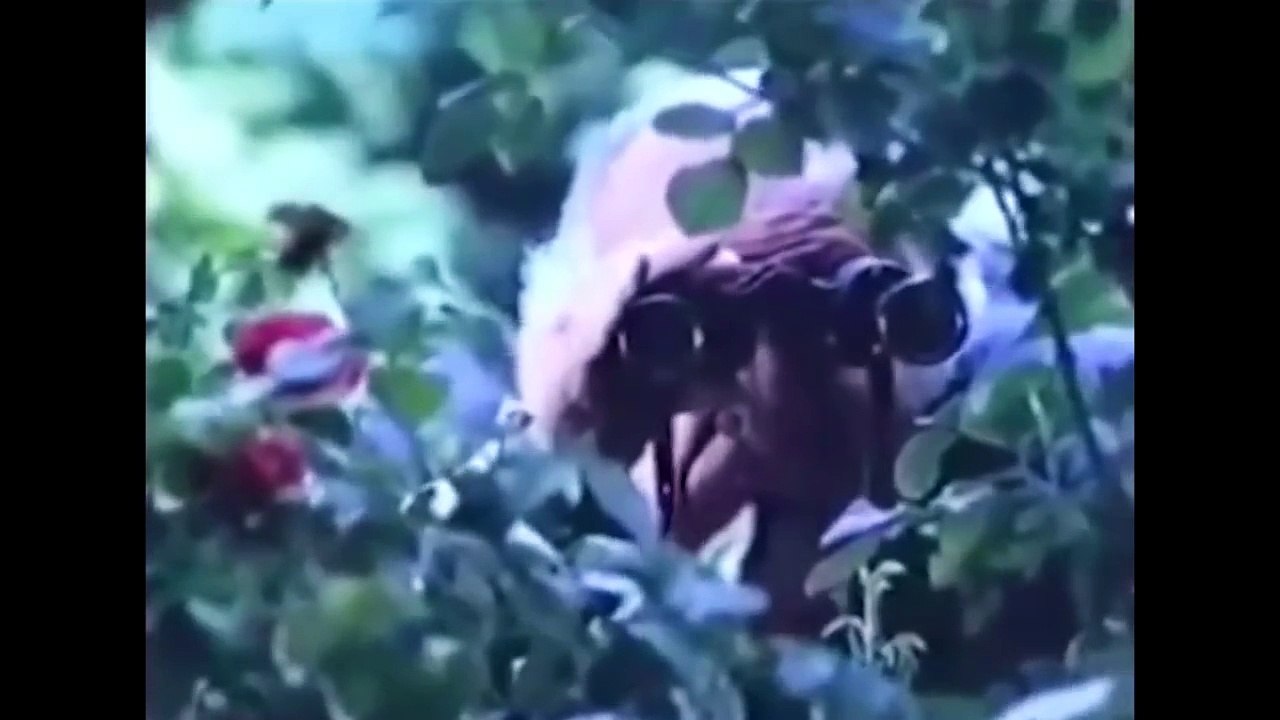 Üç Sevgilim (1979) - Cüneyt Arkın