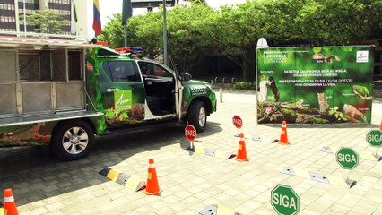 23-03-18 area Metropolitana sigue avanzando en el control del trafico y tenencia ilegal de la fauna y flora en el departamento