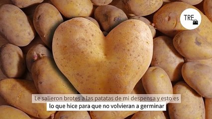 Le salieron brotes a las patatas de mi despensa y esto es lo que hice para que no volvieran a germinar