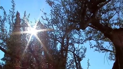 Lee Strobel - The Case For Christ