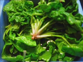 French cooking lesson 2-spinach