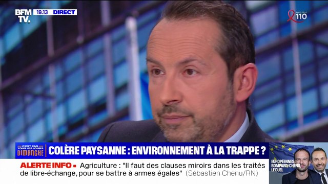 Écologie: Les objectifs donnés aujourd'hui sont beaucoup trop importants dans leur rythme et dans leur volume , affirme Sébastien Chenu (RN)