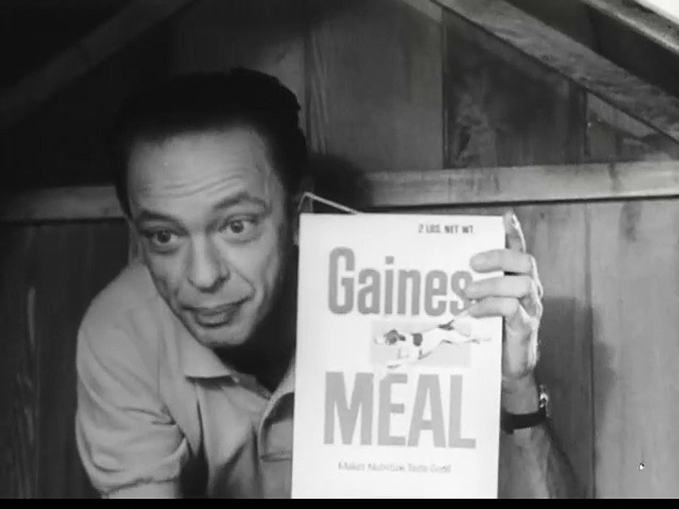 1960s Don Knotts Gaines dog food