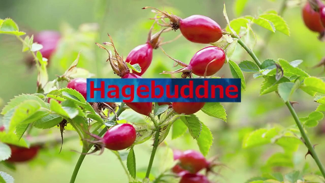 Drachenlord Eisberg Erklärt Supercut Teil 1-3 (Reupload)