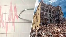 ¿POR QUÉ ESTE PEZ PRESAGIA TERREMOTOS Y TSUNAMIS? PEZ REMO