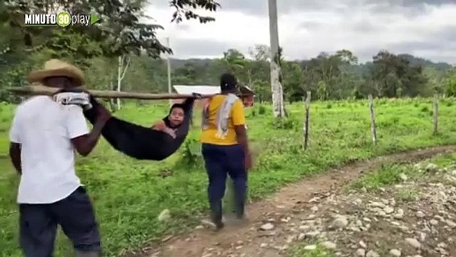 Caminaron 8 horas para llevarlo a un médico : Niño de 10 años murió tras ser mordido por una serpiente en Urrao