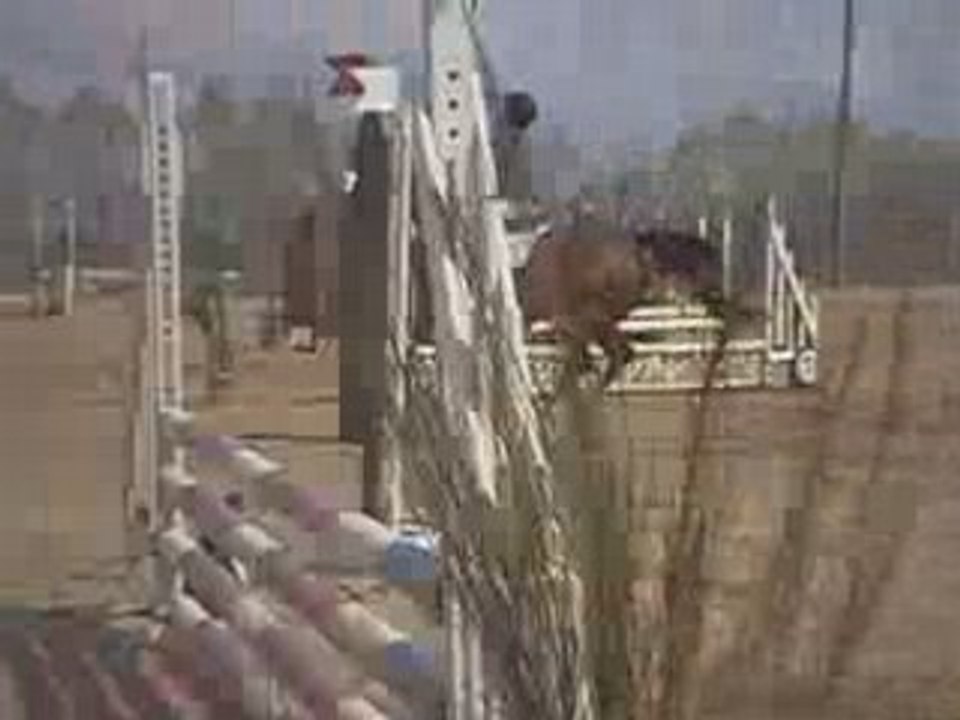 Concours à St Romain de Jaillonas Lolita et Moi en club 3