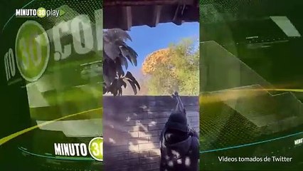 En medio de balaceras fue la captura del hijo del 'Chapo' Guzmán