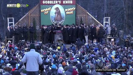 La predicción de la marmota Phil para el invierno de 2023