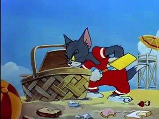 Tom and Jerry Smitten Kitten