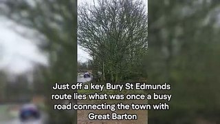 Weekly video: The abandoned Suffolk 'ghost road'