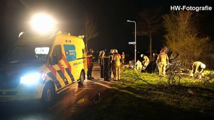Automobiliste vliegt uit de bocht en eindigt tegen boom