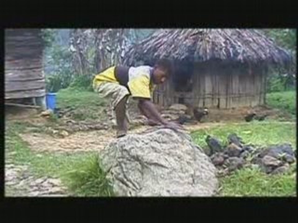 L'histoire des Yali