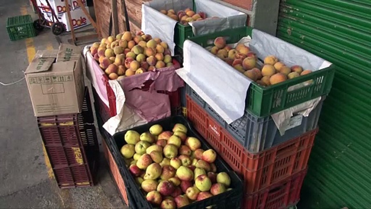 29-05-18 Campesinos de los corregimientos de Medellin suministraran cerca de 11 toneladas de sus productos para los restaurantes escolares