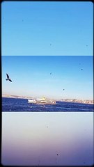 قصة 12 . نصاب كاديكوي (قصة من اسطنبول )