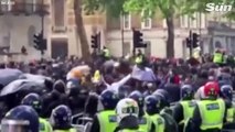 Un caballo de la policía asustado se lanza hacia los manifestantes por George Floyd en Londres después de que el jinete fuera derribado.