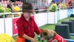 Animals drawing crowds at Sydney Royal Easter Show