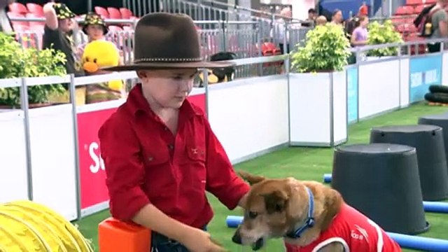 Animals drawing crowds at Sydney Royal Easter Show