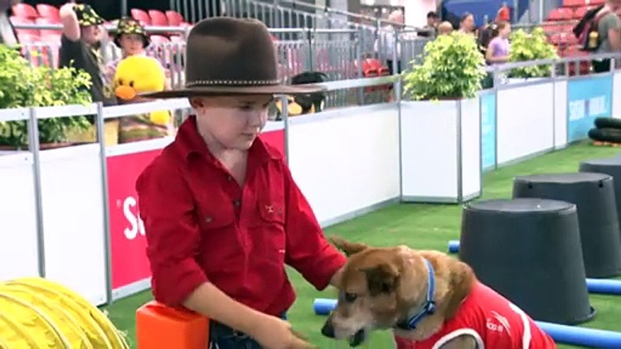 Animals drawing crowds at Sydney Royal Easter Show