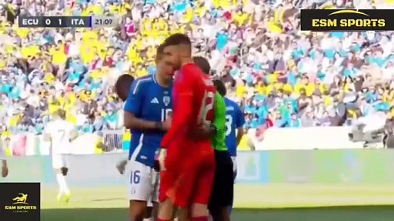 Italy vs Ecuador 2-0 Full Match Highlights 2024