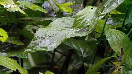 13-11-18 Alerta roja por deslizamientos en las vías hacia el Urabá