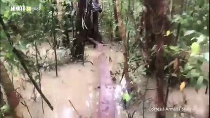 Incautan semisumergible en Timbiquí usado para transportar clorhidrato de cocaína