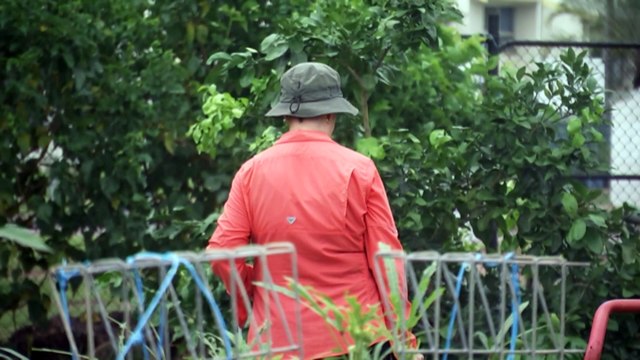 Community gardens opposing new fees imposed by Darwin local government