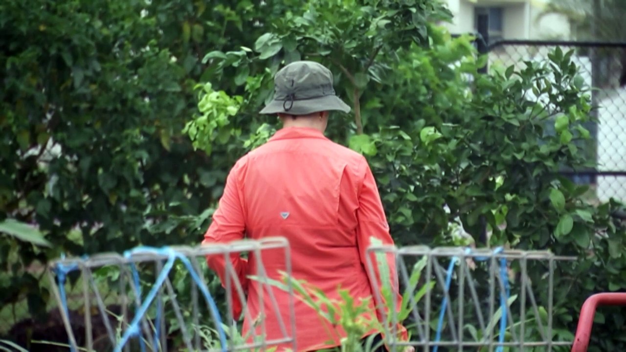 Community gardens opposing new fees imposed by Darwin local government