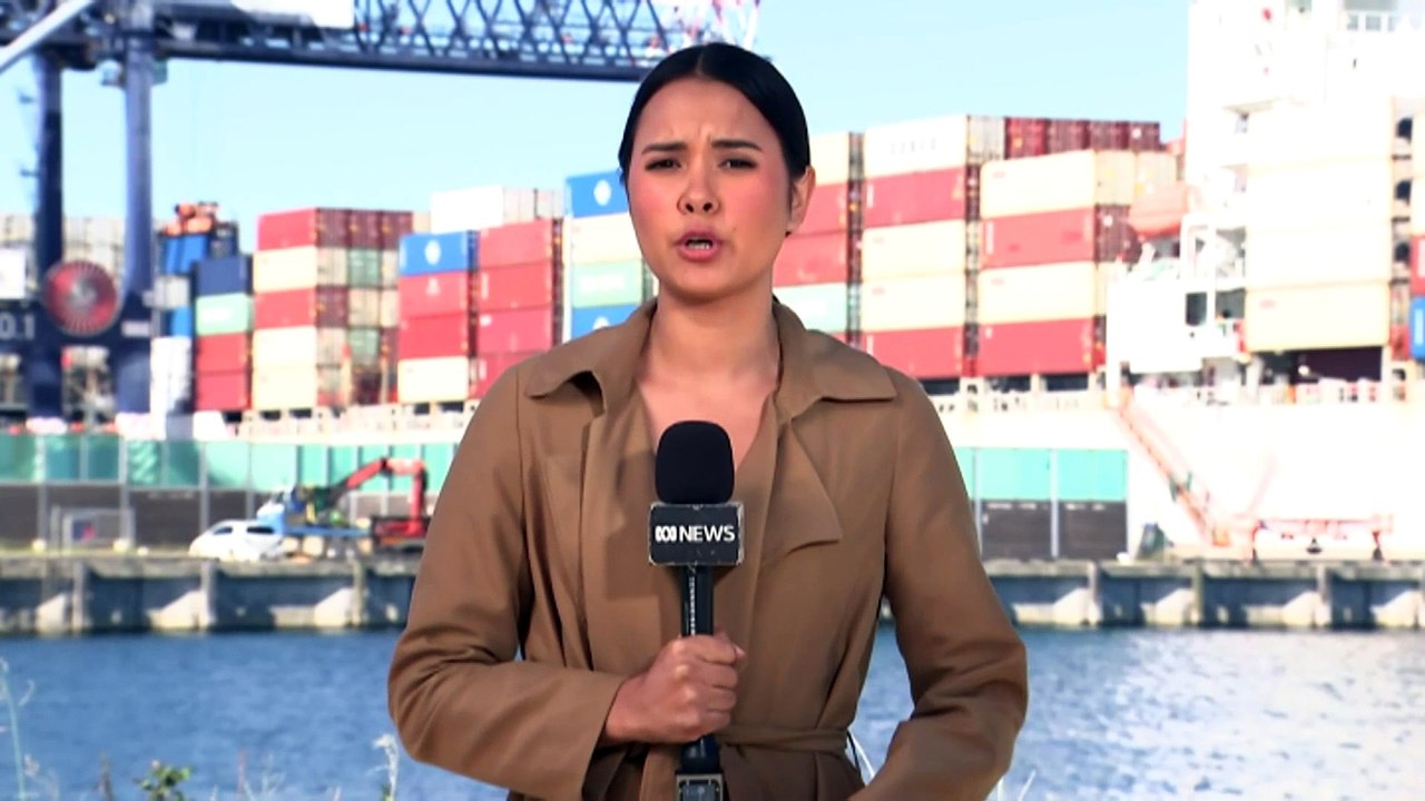 Arrests at Port Botany protest targeting Israel-owned container ship