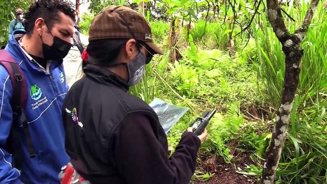 En busca del catálogo genético de las Galápagos
