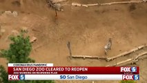San Diego Zoo se prepara para reabrir el 20 de junio