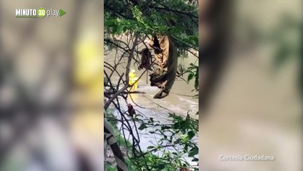Recuperación de cuerpo en el rio medellin
