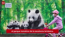 Cierre de zoológicos por #covid19 benefició a pandas